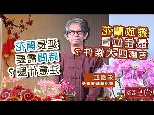 蘭花擺放 位置